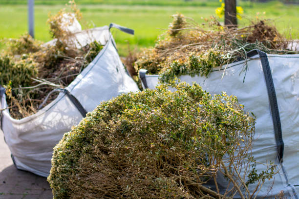Best Basement Cleanout Services  in El Portal, FL